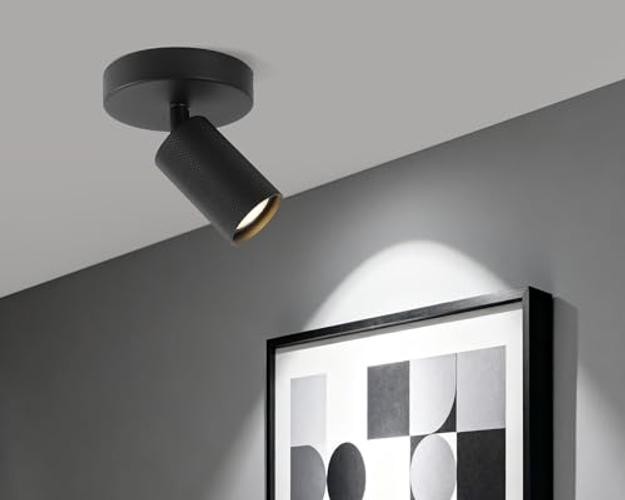 Ceiling Spotlight Indoor Adjustable 1-Light Track Lighting with 1 Pack Black