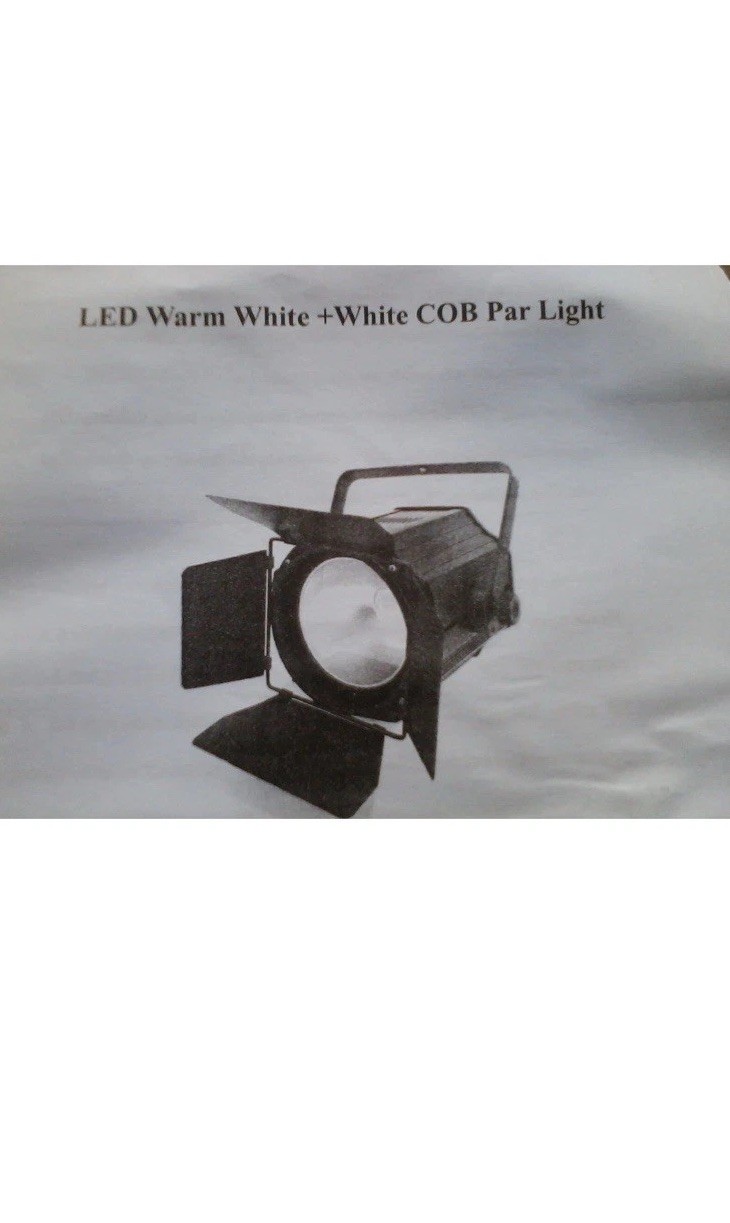 WARM WHITE + WHITE 200 WATT LED COB STAGE PAR LIGHT DJXFLI WITH BARN DOORS BLACK