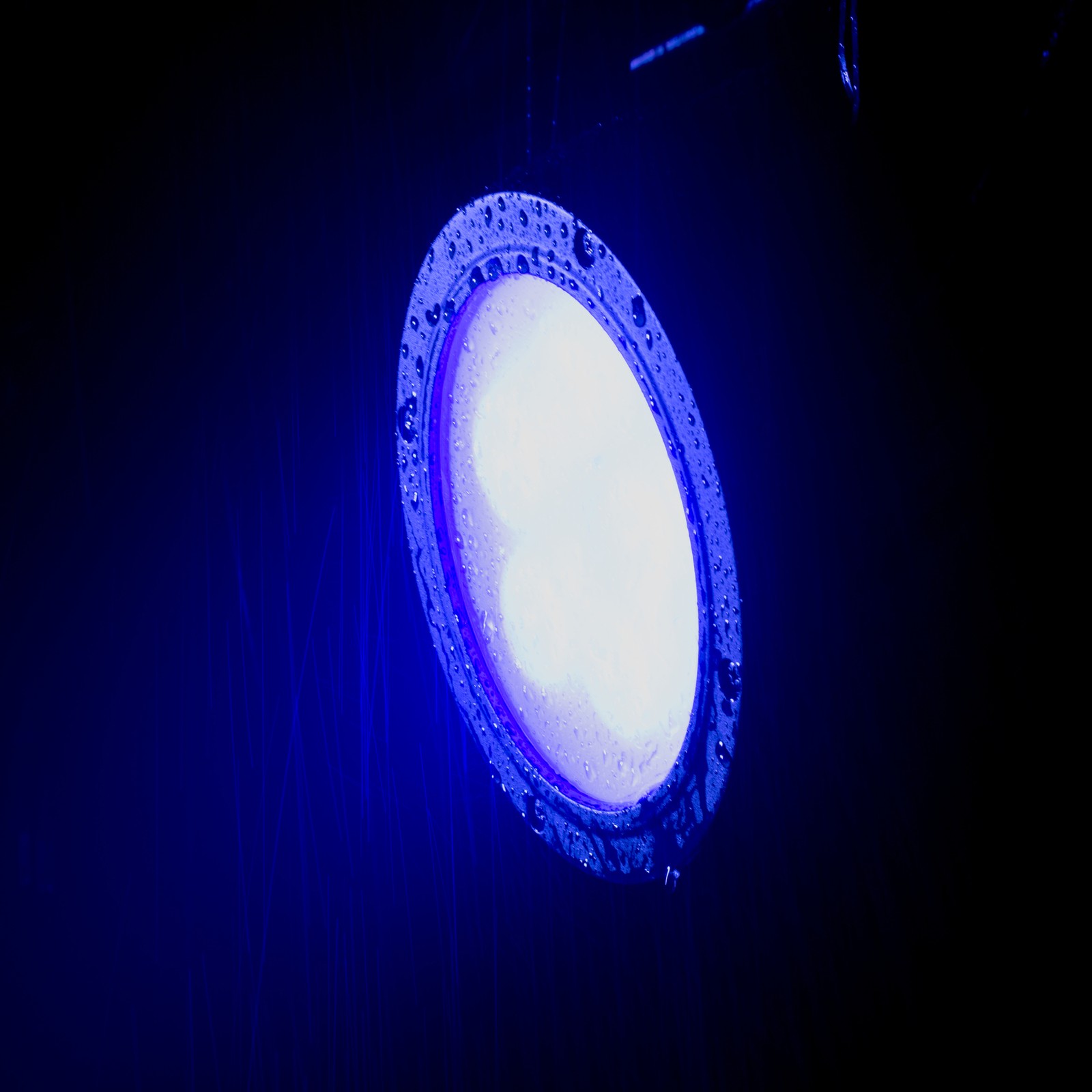 American DJ Encore LP5IP IP65 RGBL LED DMX Wash Light+1×40 Degree Frost Filter