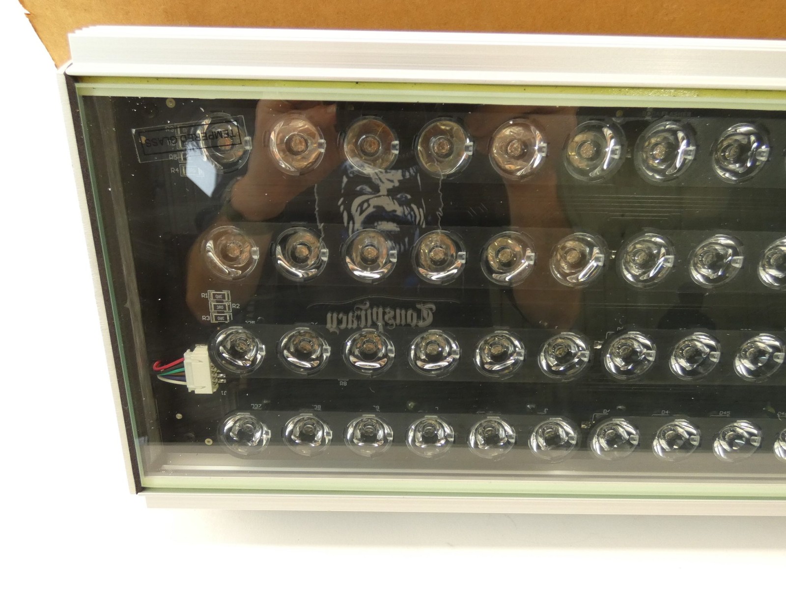 *Parts/Repair* Boca Flasher Incandescent Luminaire