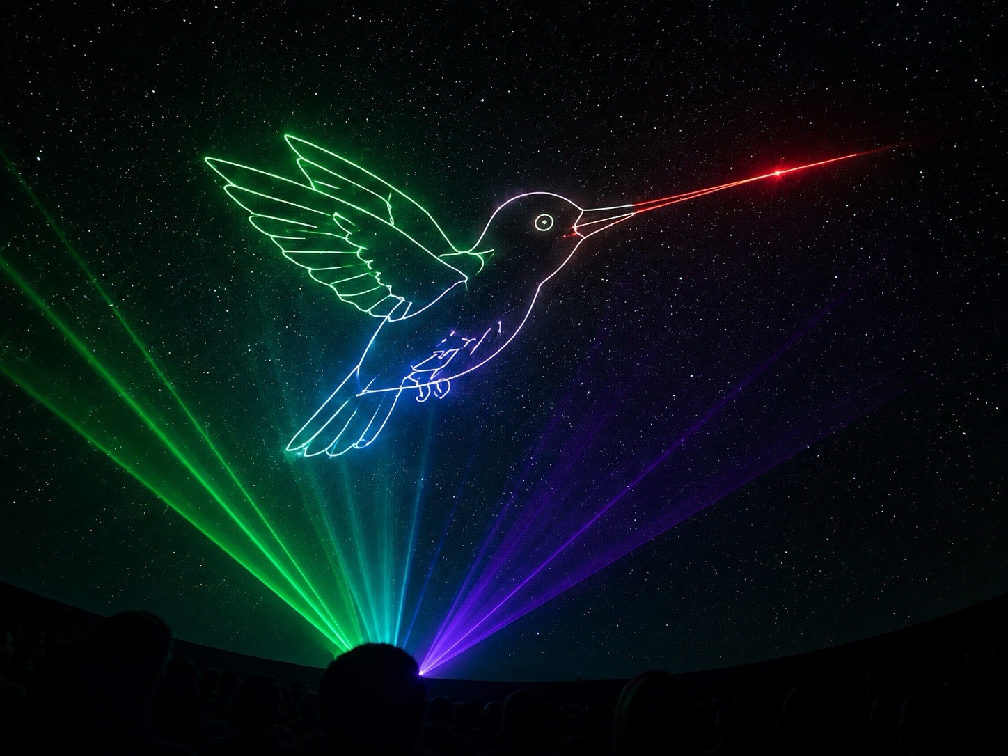ILDA DMX Laser Show Vivid 6W RGB Pangolin FB4 Planetarium Graphics Animation 40K