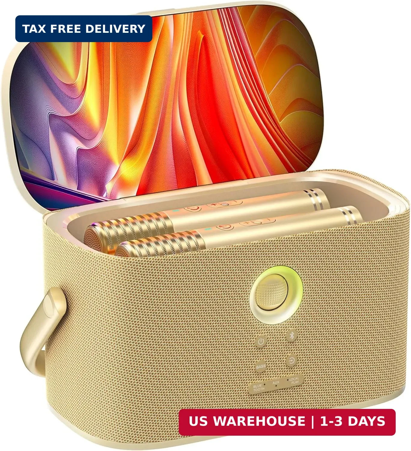 Ikarao Karaoke Machine for Adults, with Lyrics Display Screen, 2 Self-Charging W