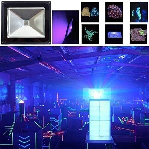 10W LED Blacklight with Waterproof Functionality – Perfect for Birthday Events