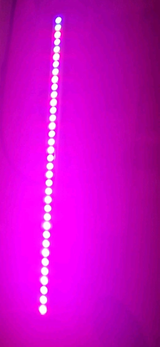 Acclaim Lighting Rebel-BAR-HIP65-AC-1000 RGB 120V IP65 4’ DMX Color-Changing LED