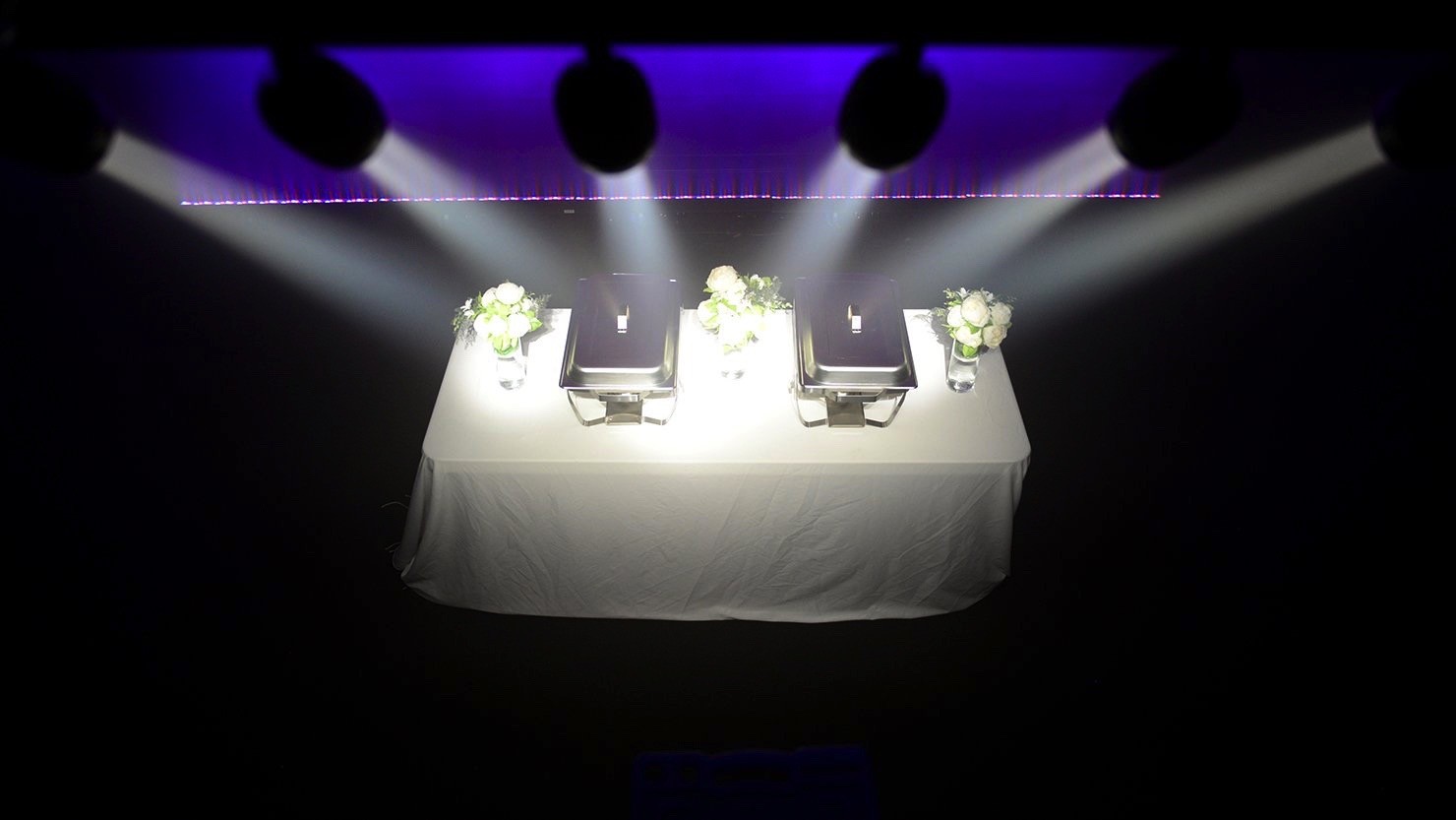 Chauvet DJ Pinspot Bar DMX w/ (6) Independantly Controlled Pinspots Lights